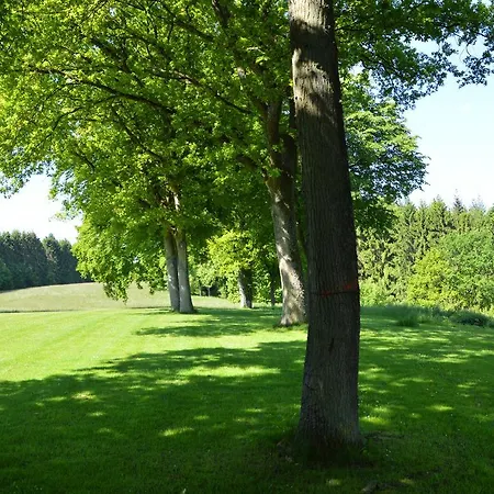 Chalet Modern With Private Tennis Court In *